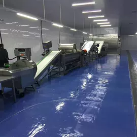 果蔬加工设备;肉品加工设备;休闲食品加工