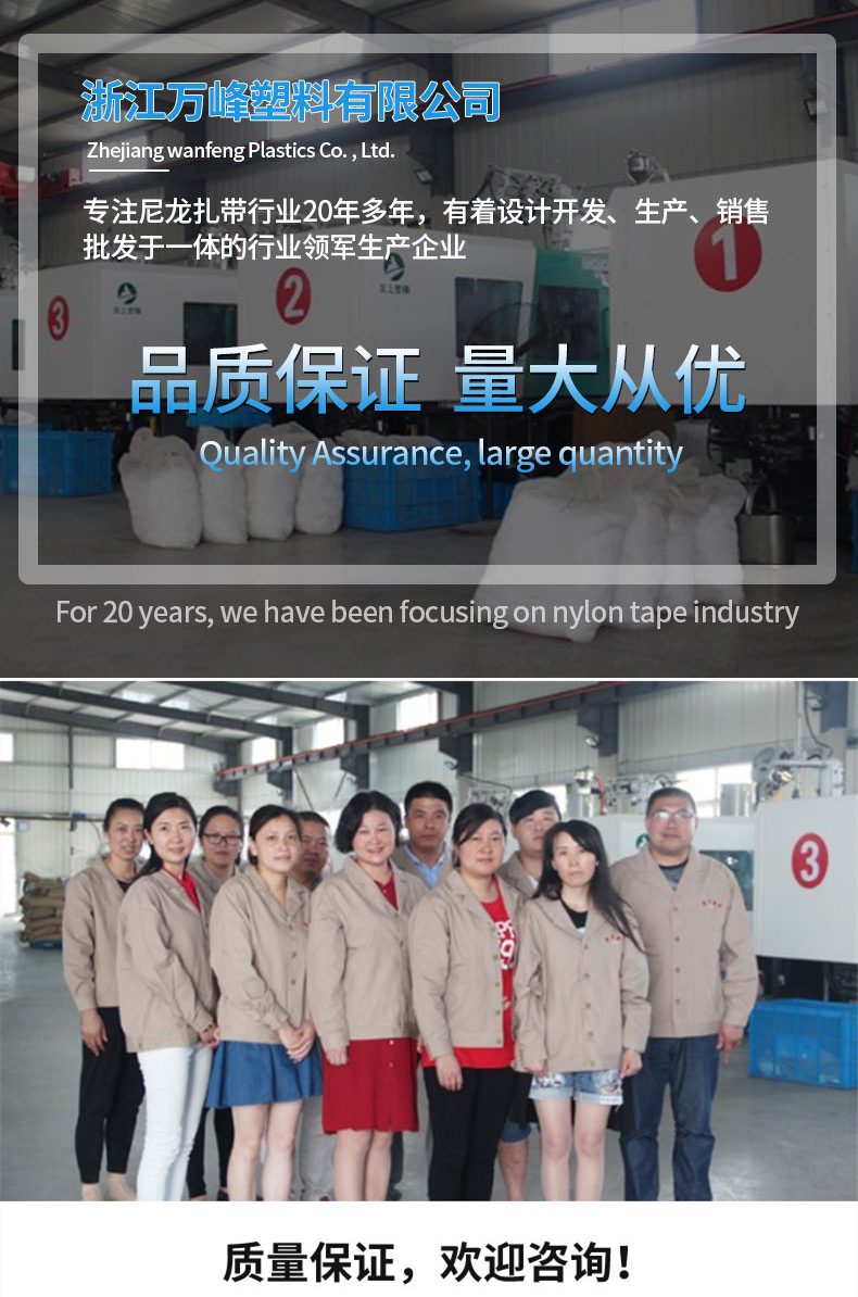 尼龙扎带3_03_副本