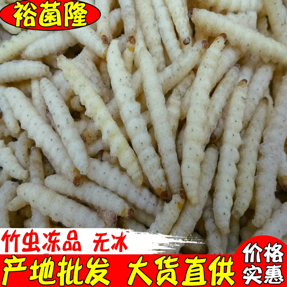 【Южунлон】Бамбуковые черви, не замороженные продукты, оптовые поставки для гостиниц, оптовая закупка, продукт из Юньнани, прямые поставки из Юньнани