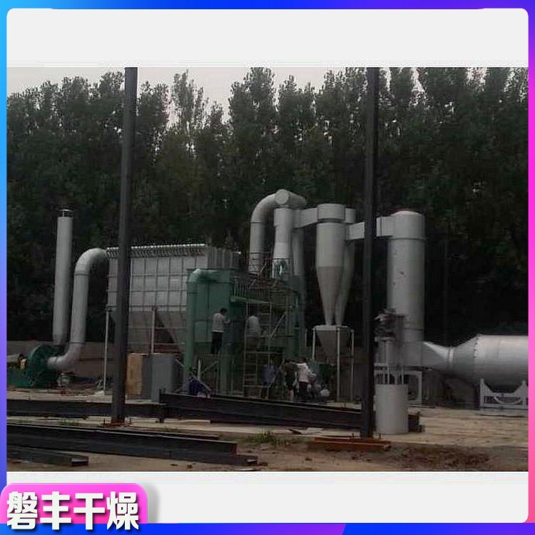 磐丰直销 邻磺酸钠烘干机 苯甲醛闪蒸干燥机 工业污泥闪蒸干燥机