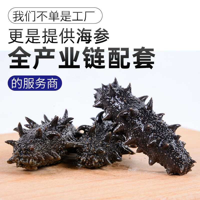 大連半幹拉缸鹽漬海參工廠批發遼刺參非幹貨冷凍即食
