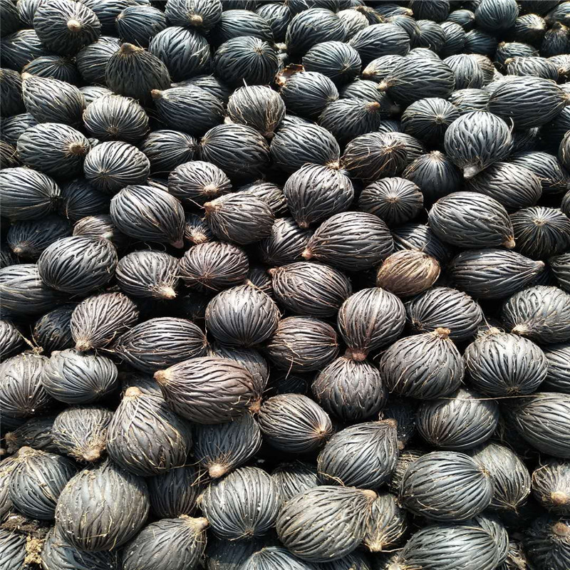 mmexport1592116247503_副本