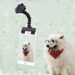 Домашнее животное статьи самому заказать артефакт pet selfie stick собака китти игрушка смотреть объектив телефон зажим сын