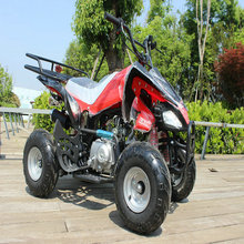 ɽسɳ̲110CC޼ԶСɳ̲ATV