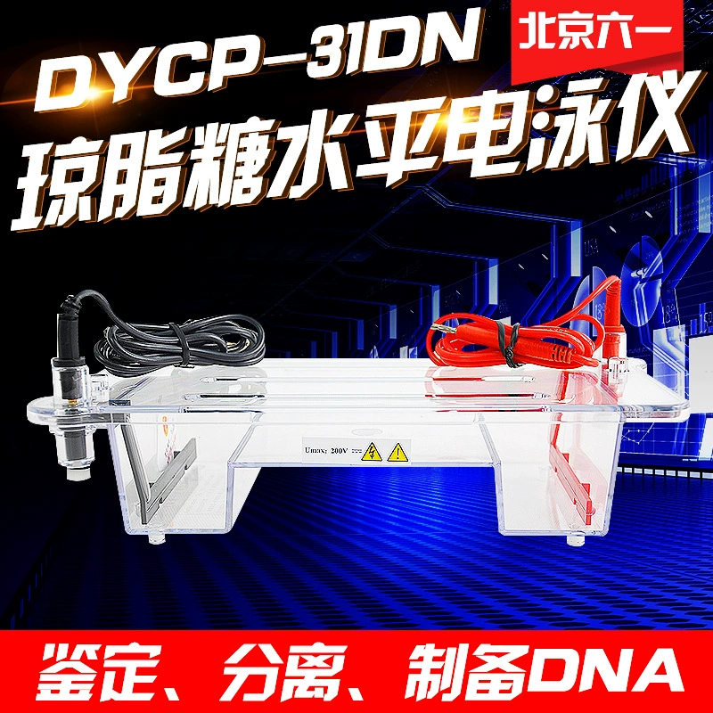 Пекин Liuyi DYCP-31DN Тип Agarose Горизонтальный электрофорез Инструмент небольшого размера Лаборатория Танк для электрофореза нуклеиновой кислоты
