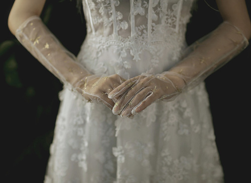 Wedding Gloves Wholesale Bridal Wedding Gloves Wedding Photo Photography Venus 1089