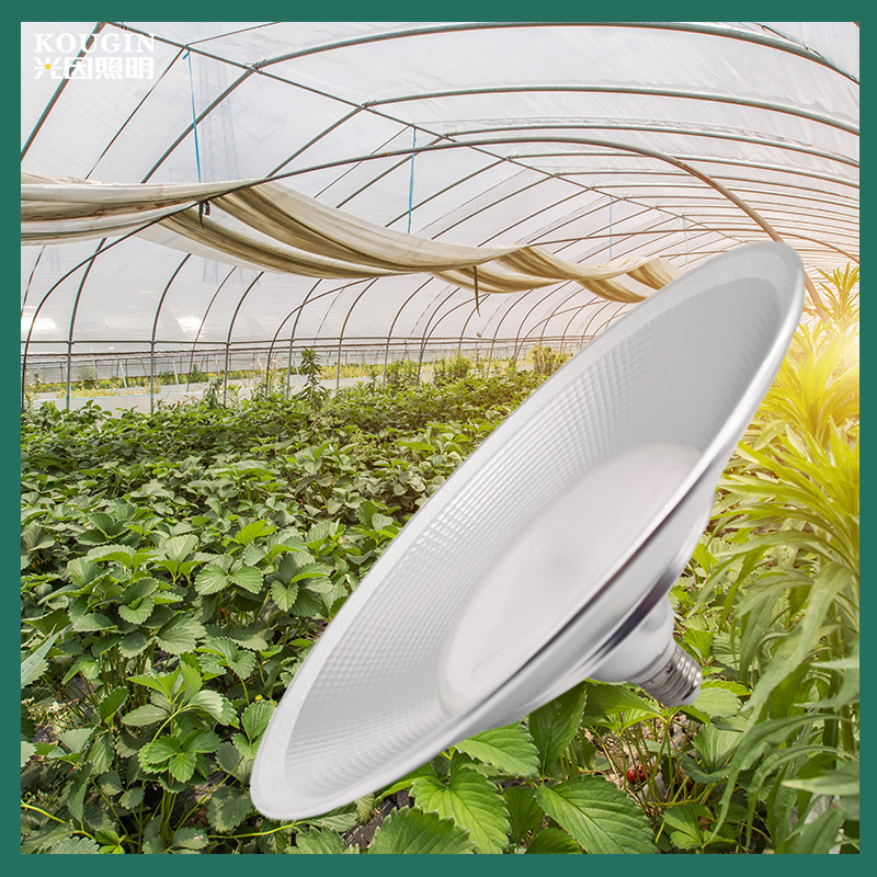 西红柿 上色防徒长 植物生长灯 温室育苗大棚 LED植物补光灯|ms