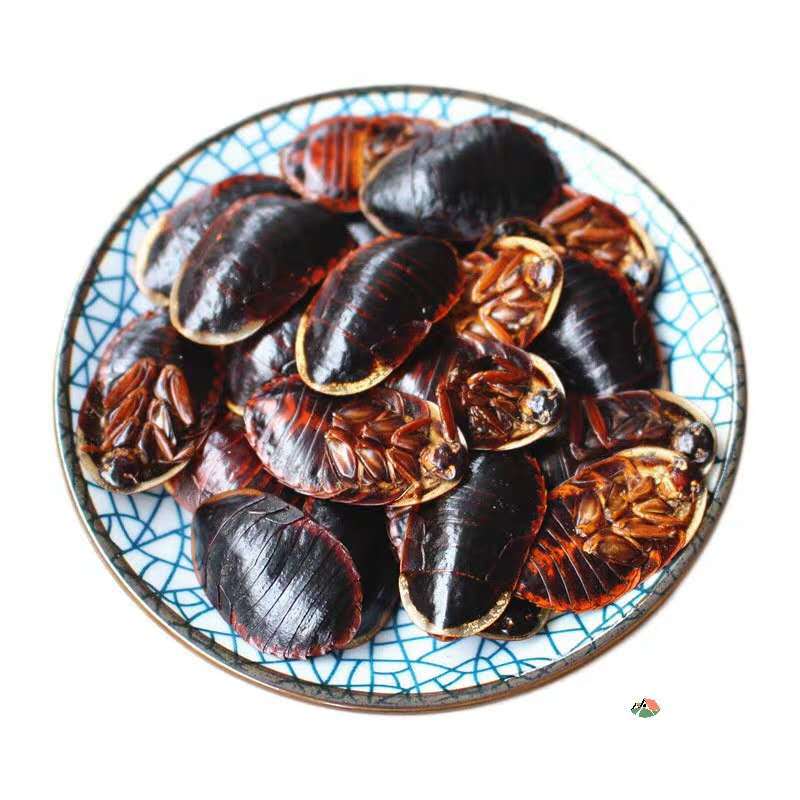 土鳖虫土元 新货不熏染农产品批发地鳖虫中药材原料金边土元粉沫-阿里巴巴
