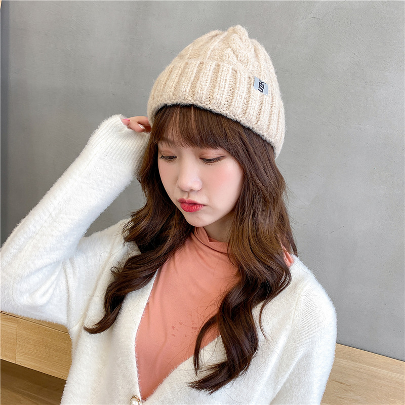 Korean Woolen Cotton All-match Warm Knitted Hat display picture 1