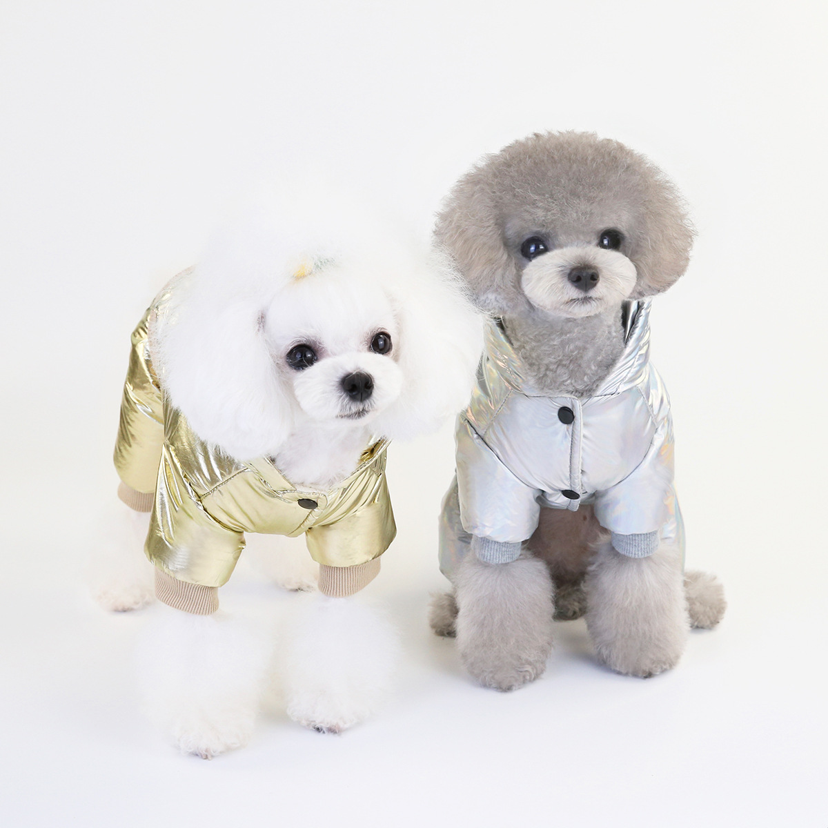 New type of pet dog clothes, cotton medium and small-sized dog clothes, winter warm, waterproof and thickened spacesuits, available for delivery detail image 3