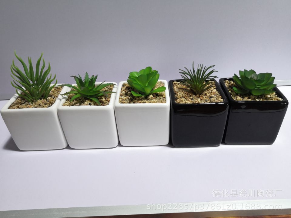 现代陶瓷工艺品多肉花盆家居摆设