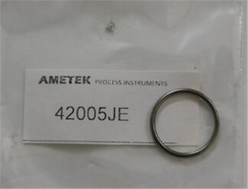 AMETEK 密封圈 42005JE