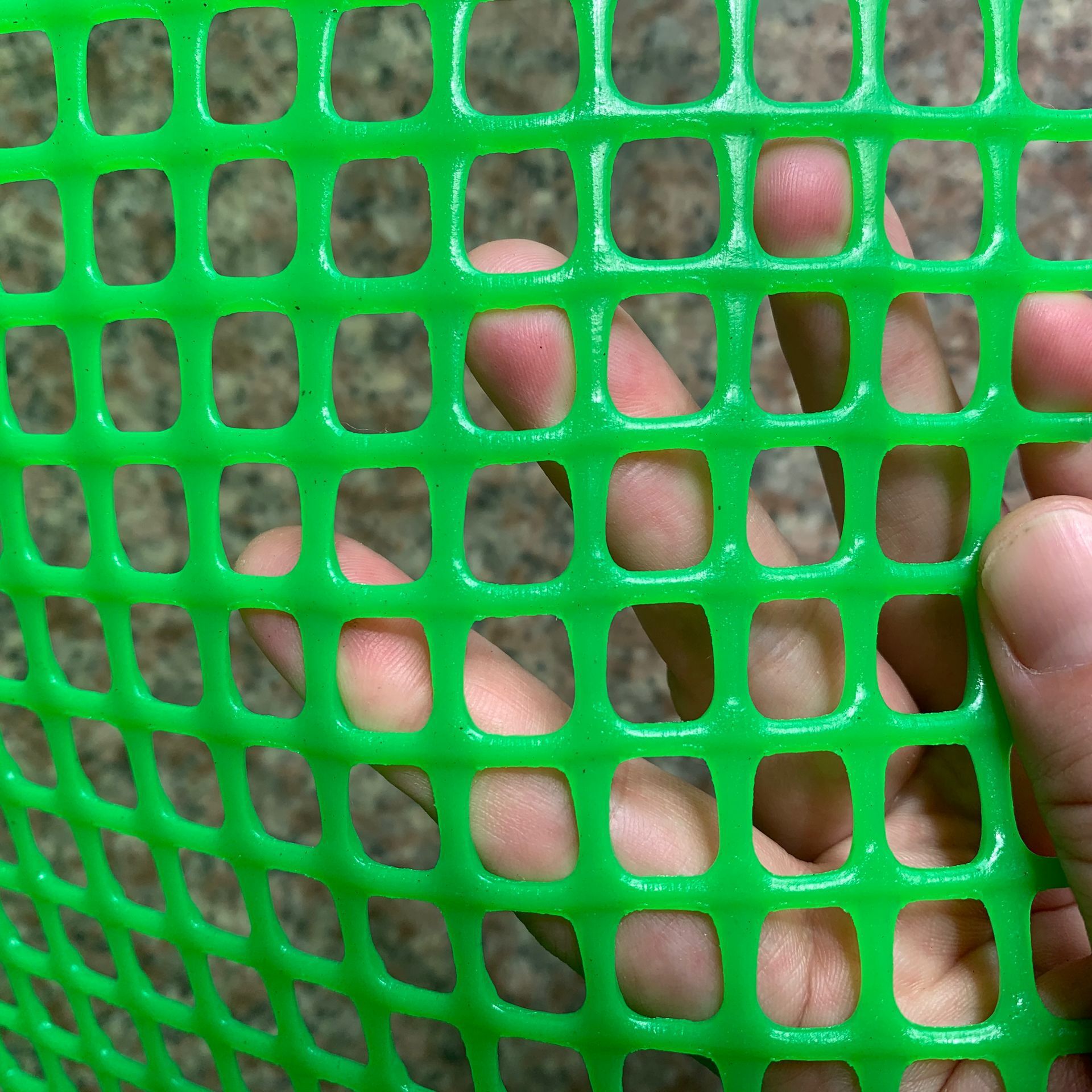 深圳东莞惠州绿色方孔塑胶网方格网养殖胶网方格树苗围栏塑料网
