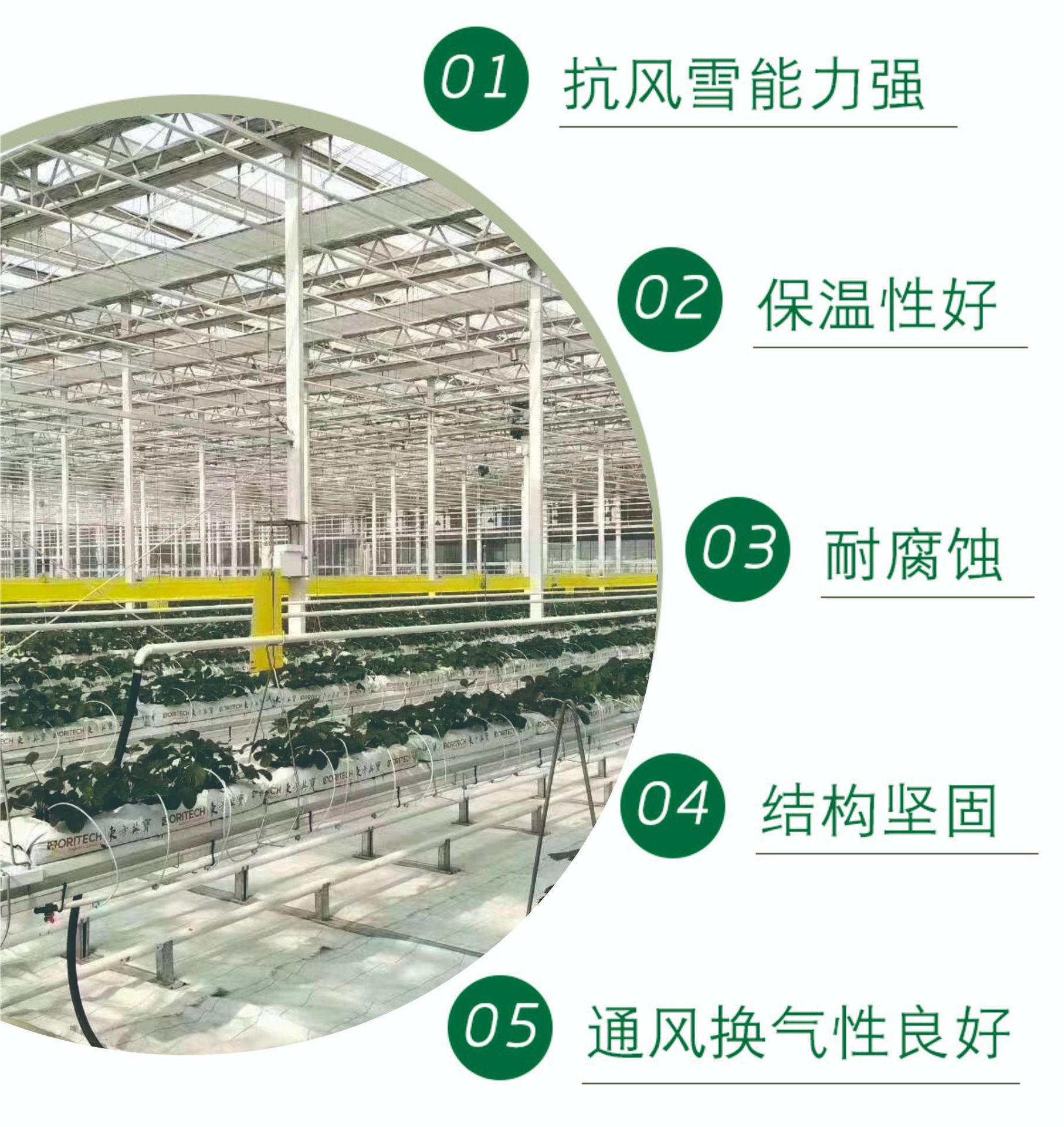 19111811012_1816428871