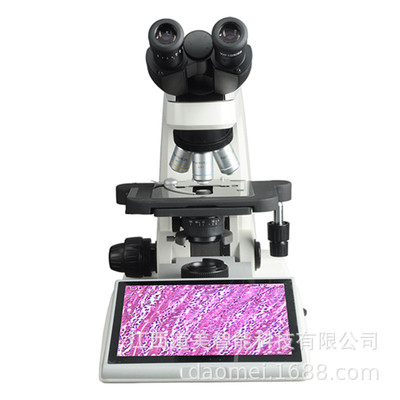 TL5000壹體化液晶數碼顯微鏡 拼接CCD拍照 數碼雙目生物顯微鏡