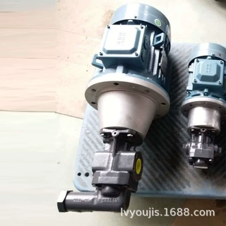 循环泵齿轮泵DK-16-R-F滤油机齿轮泵输油泵