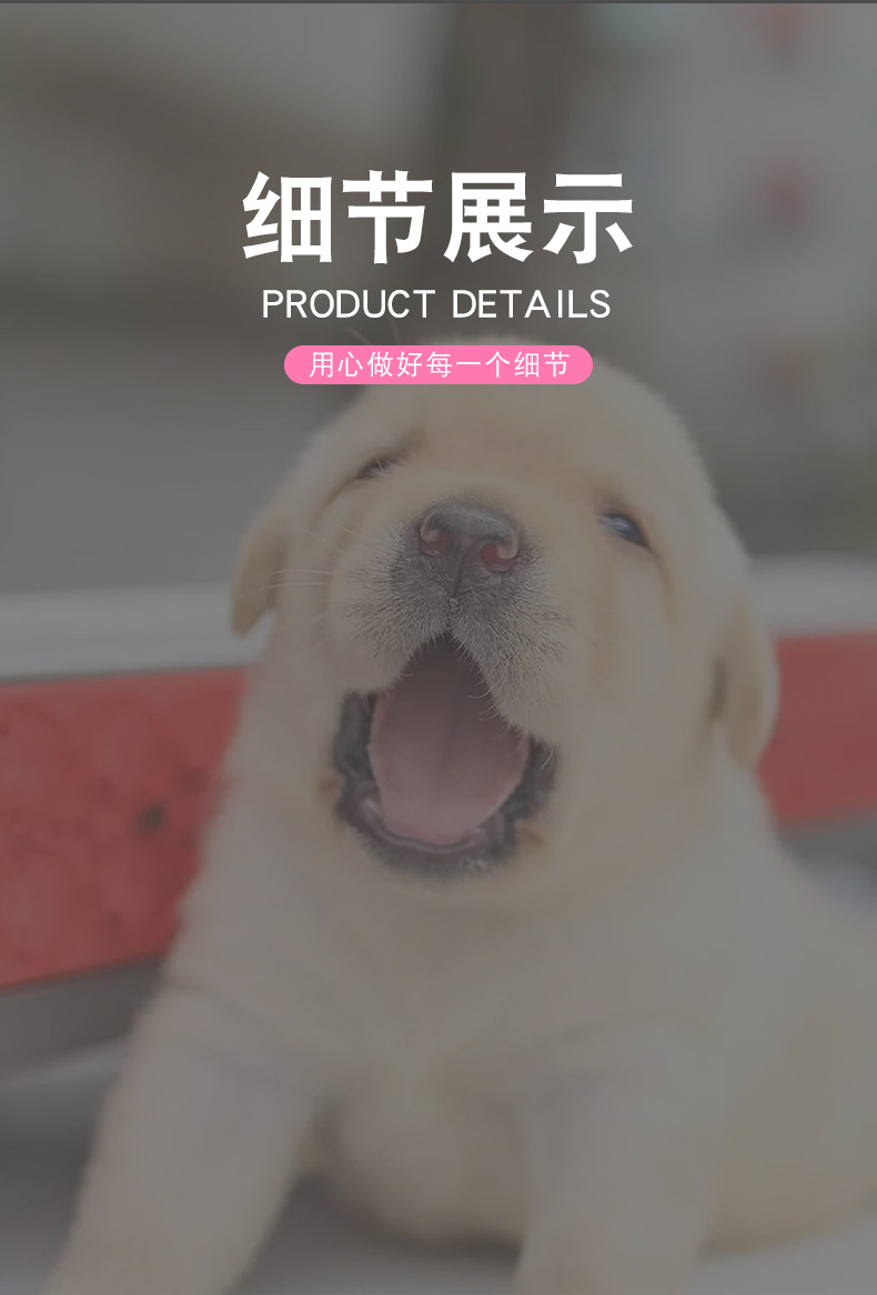 发声毛绒玩具_09.jpg
