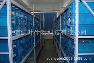 Ī��ɳ���}���}/186826-86-8/Դ�~ S17123/Moxifloxacin hydrochl