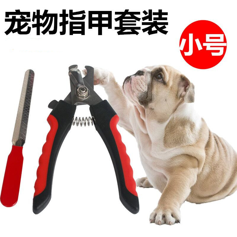 nail scissors