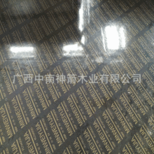 W׼ĤСڰ|ϚWBҎ羳ģ