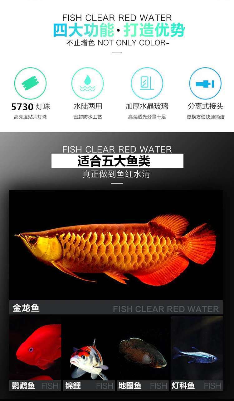 e0aa32e5c1f08f14819fc2de1424f5