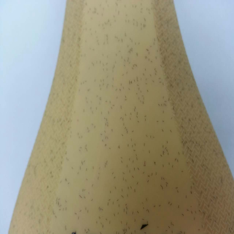 ����ע�ܸ����ϵ� ��ά�� �ٲ�ǳ��ɫ��ʯ˿��������