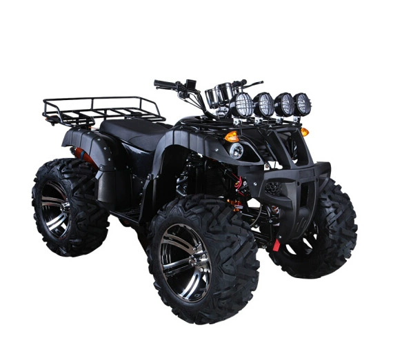 [Большегрузный вездеход для пляжа 125cc-350cc ATV квадроцикл для езды по пересечённой местности]