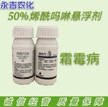 50%烯酰吗啉悬浮剂黄瓜霜霉病卵菌纲真菌