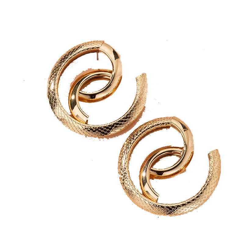 Snake-shaped High-quality Abstract Exaggerated Trend Street Earrings Wholesale Nihaojewelry display picture 5
