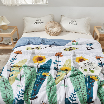 厂家批发超柔空调被水洗棉夏被夏季夏凉被会销礼品被子洛卡棉批发|ru