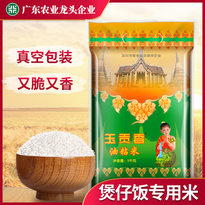 廣西油粘米源頭廠家批發大米5KG長粒香軟優質米煲仔飯專用米10斤