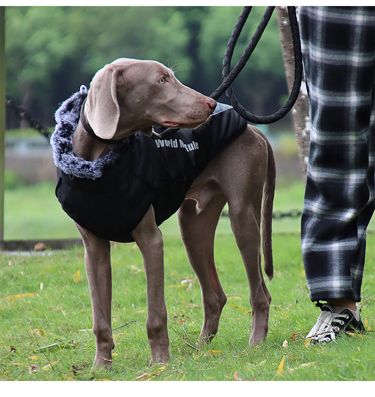 Großhandelszubehör Haustier Im Freien Plus Baumwollhundekleidung Nihaojewelry display picture 3