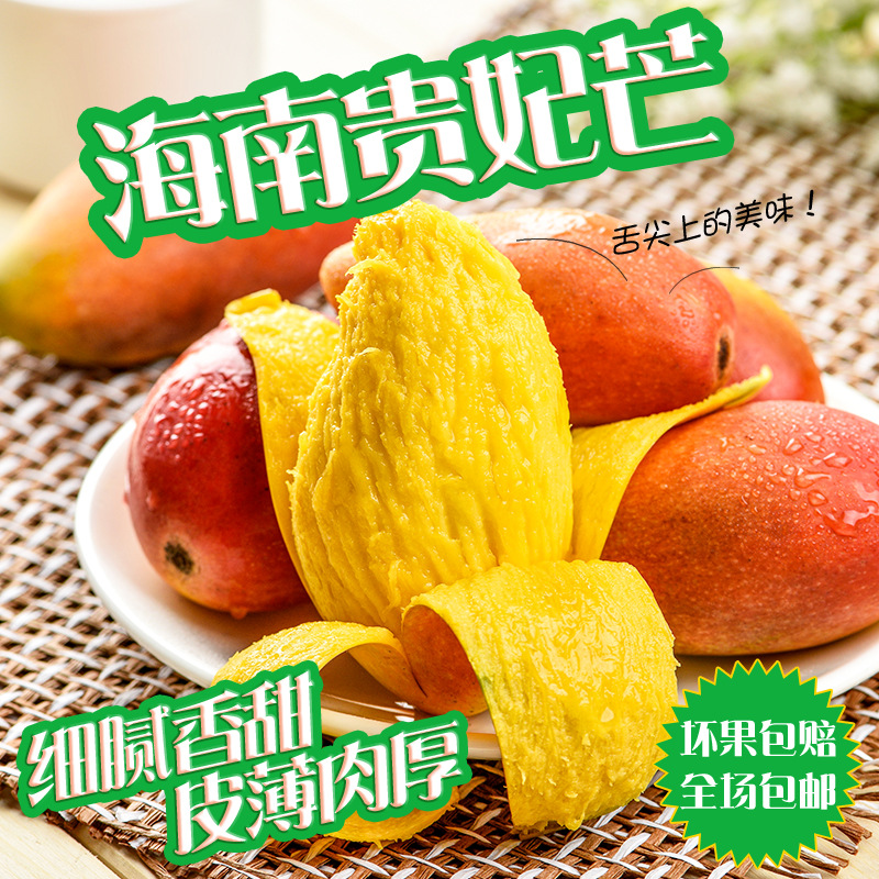 海南貴妃芒果 樹上成熟 新鮮采摘 後熟水果 芒果鮮果