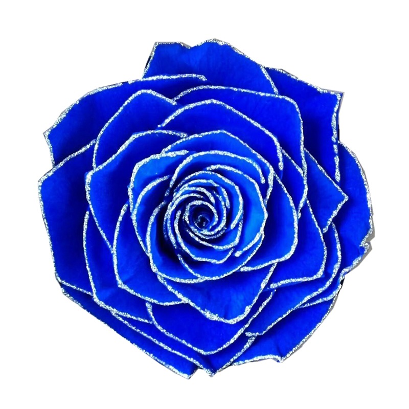 微信图片_20200411232519