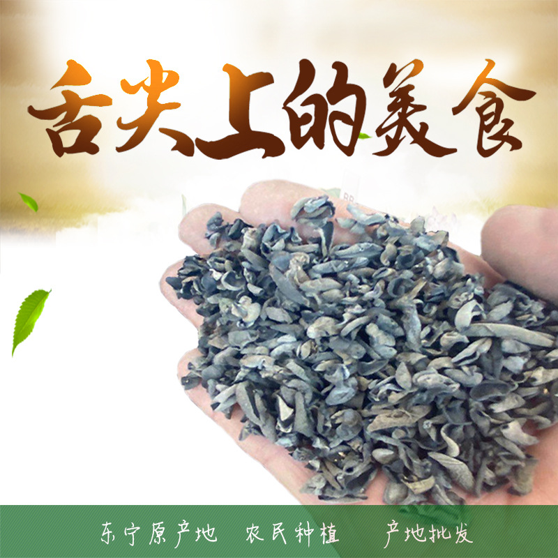 東北黑木耳碎木耳批發木耳渣豆腐腦餃子餡500g散裝幹貨大小0.8-1