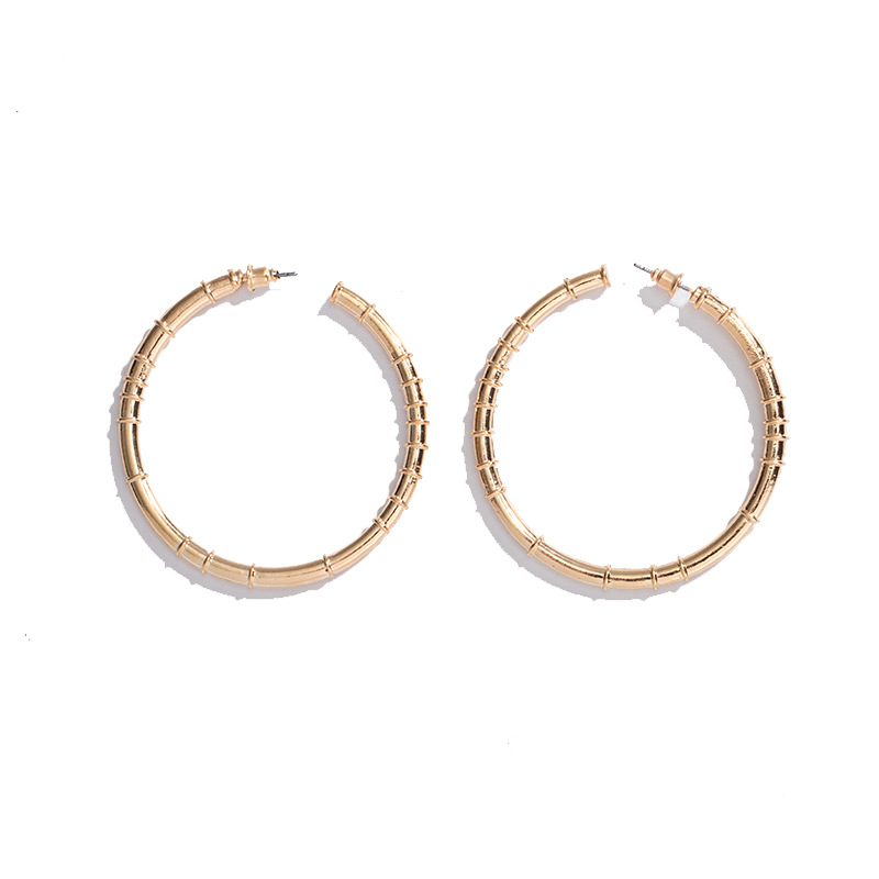 New Trendy Fashion Exaggerated Circle Earrings display picture 6