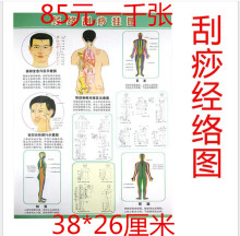 经络刮痧挂图 刮痧人体经络图 刮痧图艾灸挂图 刮痧穴位图