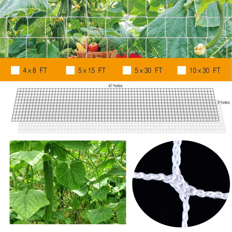 跨境货源涤纶编织网格植物爬藤网园林种植网植物攀爬网