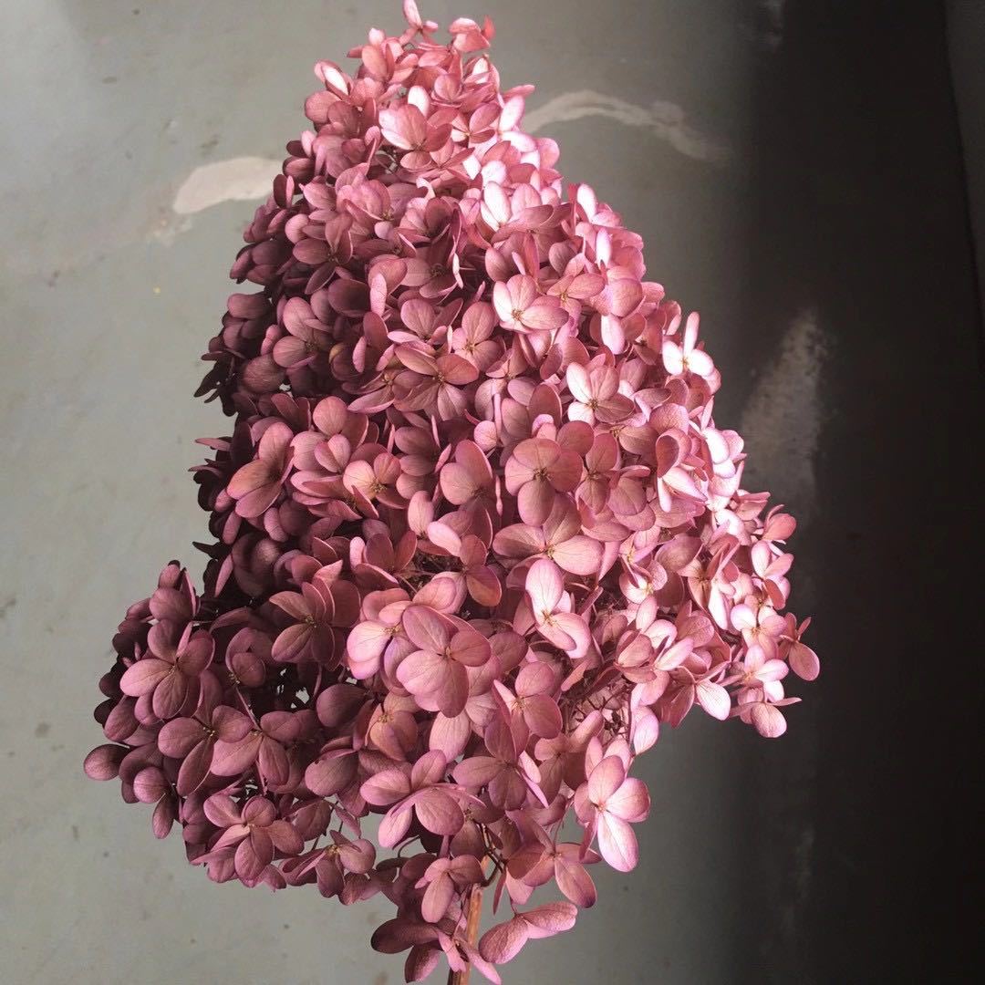 微信图片_20201018153319