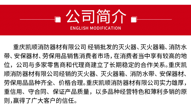 4公斤手提式干粉自动灭火器二氧化碳 水基消防家用3L车用详情28