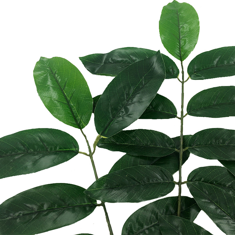 XRB-142 核桃枝三叉平面枝5