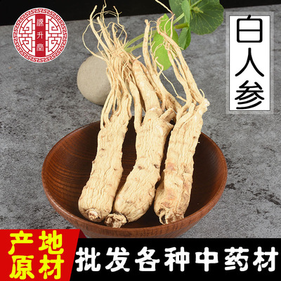 中药材批发白人参零售新货 白全须产地货源 量大从优 一件代发