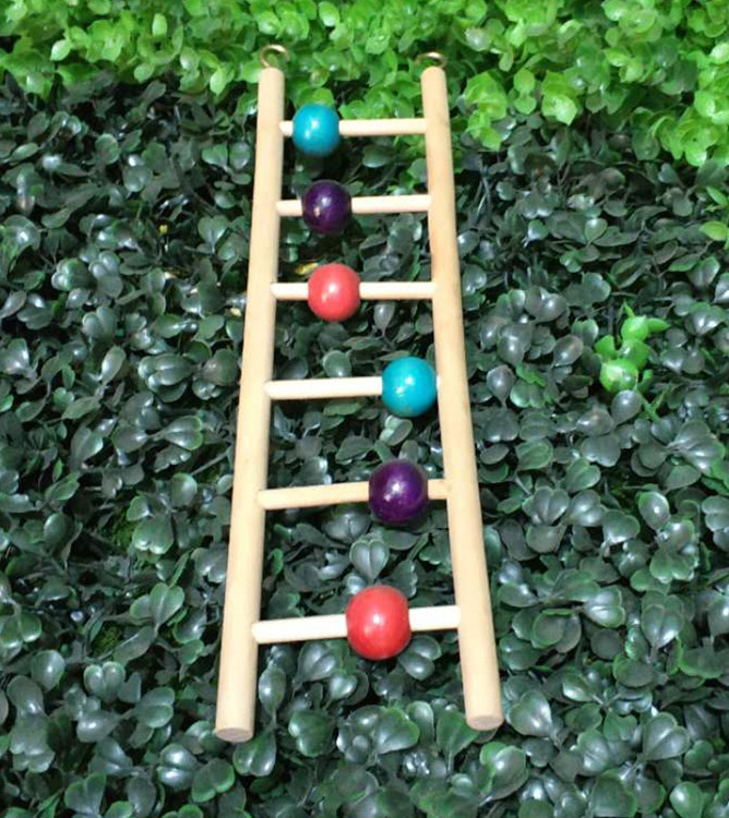 微信图片_20200913101543