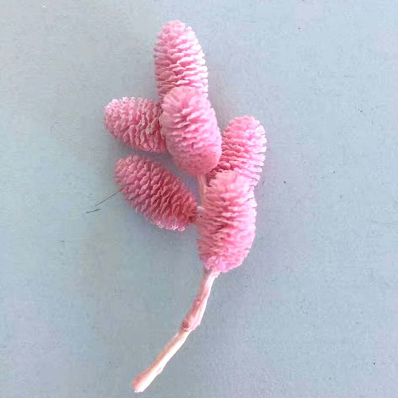 微信图片_20200424222938