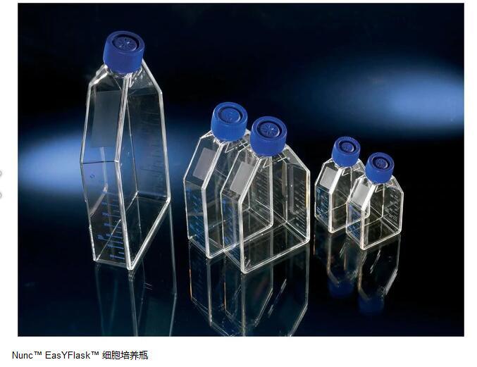 NUNC能肯156340 易用细胞培养瓶25cm2聚苯乙烯PS无菌透气密封盖