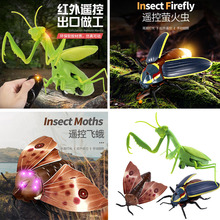 �羳�������t�⾀늄����M���x�����b������w��Ξ���x�������
