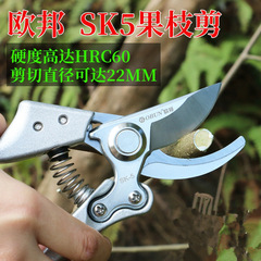 省力修枝剪刀樹枝剪果枝剪果樹剪刀花剪粗枝剪園藝剪子園林工具