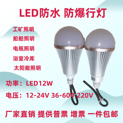 私人定制 LED12W低压灯泡12V24V36V48V 浴室潮湿环境照明灯