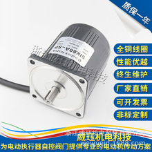 可定制 阀门 执行器等机械设备专用交流电机3RK20A-CP 20瓦 220V