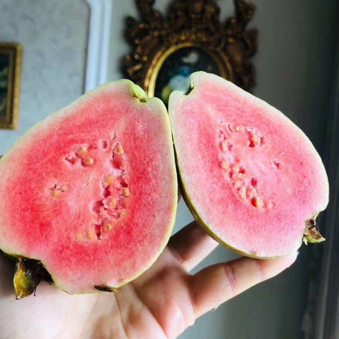 2837f4b14b6b377f6c6d9f23a3f07e